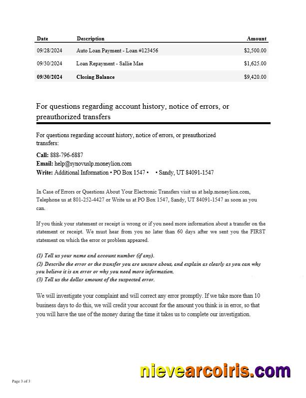 USA Synovus Bank statement Word and PDF, 3 pages 2